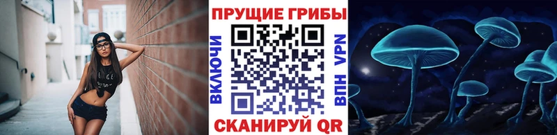 Галлюциногенные грибы Psilocybine cubensis  купить закладку  Болгар 